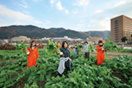京都先端科学大学 キャンパスがある京都亀岡の豊かな自然環境を活かし、畑や水田で作物栽培を実践します