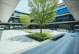 松山大学