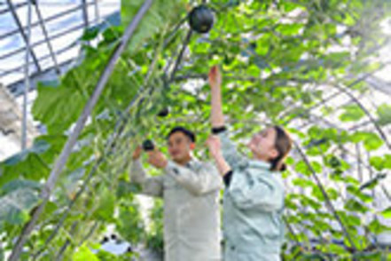 南九州大学 キャンパス内には自動制御される温室、圃場など、実習には欠かせない様々な設備が揃う