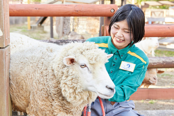 飼育展示係として働く根津　歩実さん