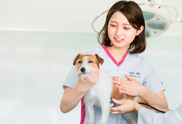 専門学校　ちば愛犬動物フラワー学園