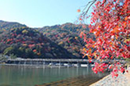 嵯峨美術大学 ▲京都の中でも景勝地としてひときわ名高い嵐山は、キャンパスの目の前。