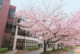 九州ルーテル学院大学