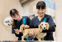 名古屋動物専門学校