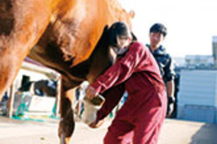 麻布大学 学外実習を通じ、動物園動物や畜産動物の管理や生命の保全、野生動物の生態や対応、解決方法を学びます