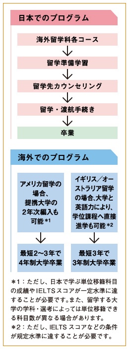 留学システムチャート