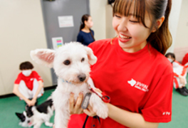 横浜動物専門学校