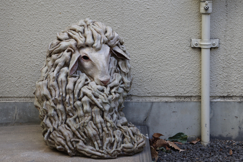 キャンパスライフPhoto