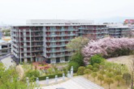 四天王寺大学 「人間福祉学科」では四天王寺福祉事業団との連携の下、充実の実習プログラムを展開。