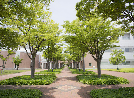 会津大学の特長1