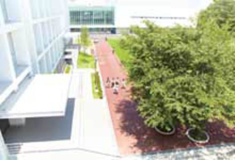 皇學館大学の風景