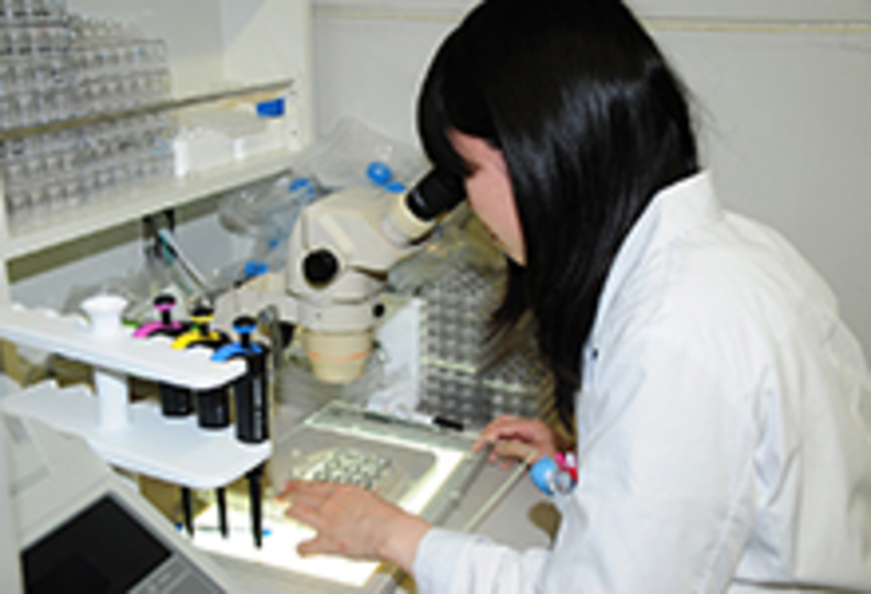 昭和薬科大学の風景