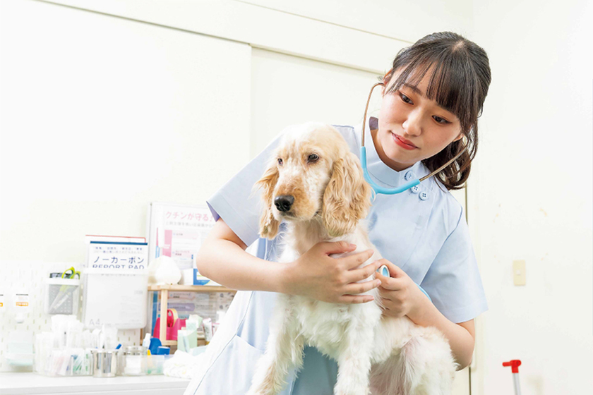 帝京科学大学の学生