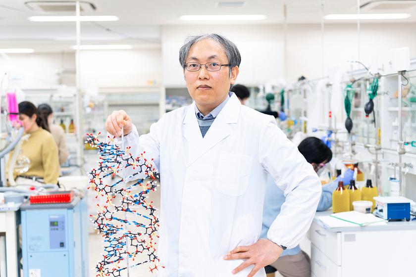 徳島文理大学の卒業後