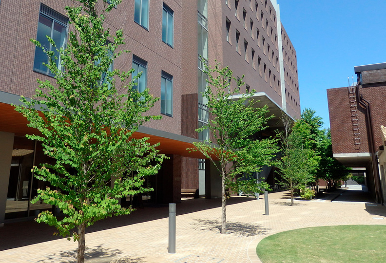 関西医療大学の風景