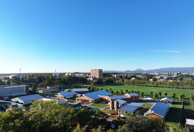 酪農学園大学の風景