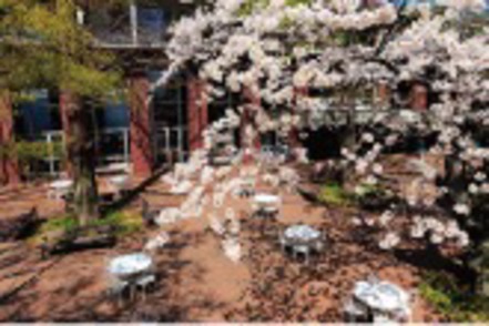 学習院大学 緑豊かで落ち着いた戸山キャンパスで4年間学びます。新宿、池袋、渋谷からのアクセスも良好です。