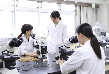 学校イメージ
