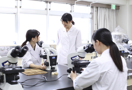 昭和医療技術専門学校