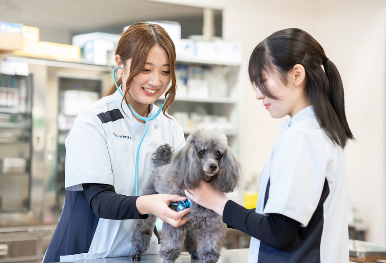 仙台総合ペット専門学校の風景