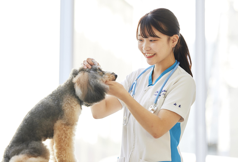 専門学校　ちば愛犬動物フラワー学園の風景