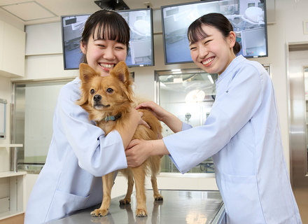 大阪ペピイ動物看護専門学校の特長１