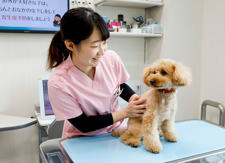 大阪ペピイ動物看護専門学校の特長３