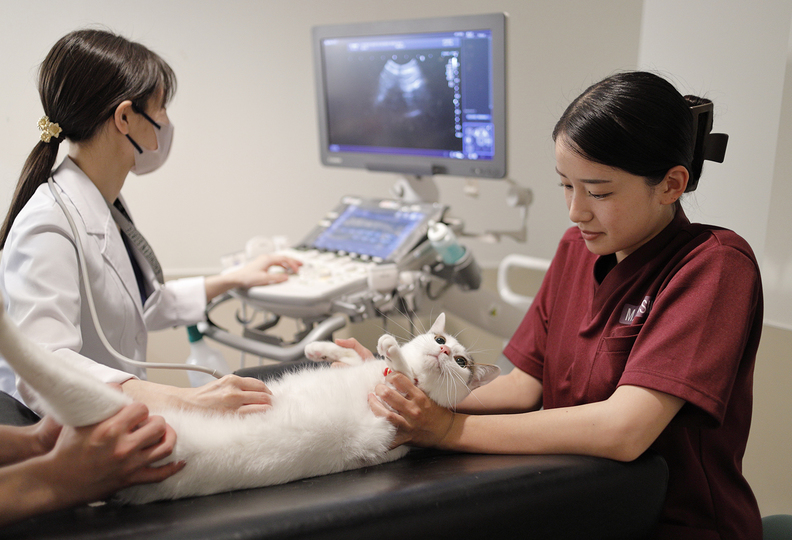 吉田学園動物看護専門学校の風景