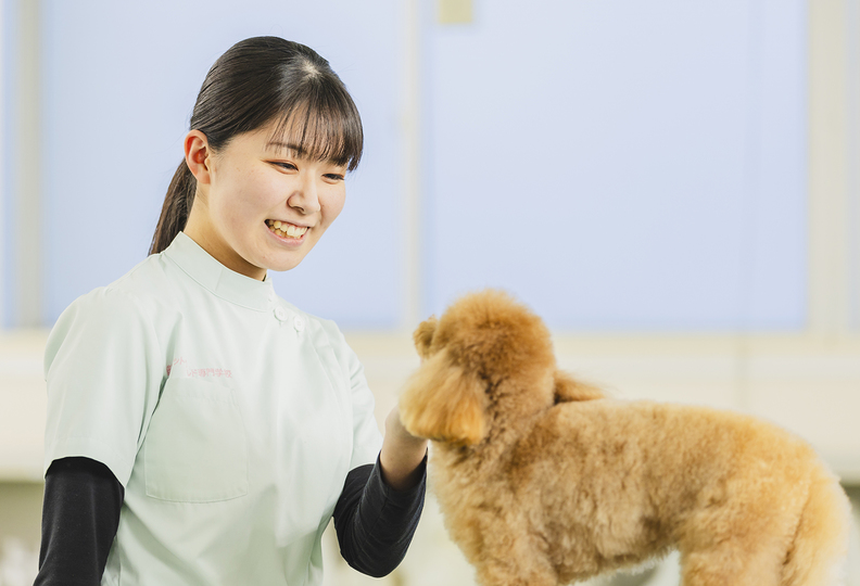 ＭＣＬ盛岡ペットワールド専門学校の風景
