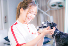 日本動物専門学校