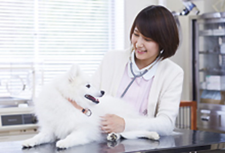 岡山理科大学専門学校の風景