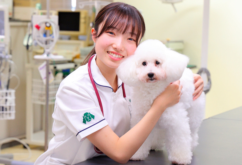 大宮国際動物専門学校の風景