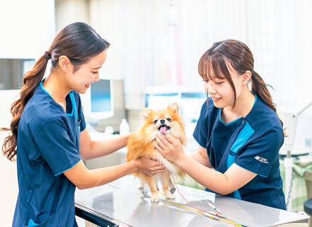 大阪動物専門学校天王寺校の特長1