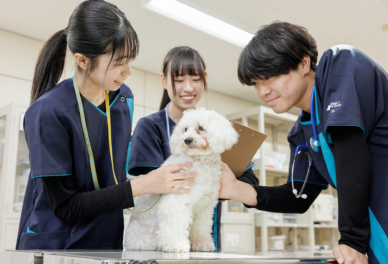 大阪動物専門学校天王寺校の風景