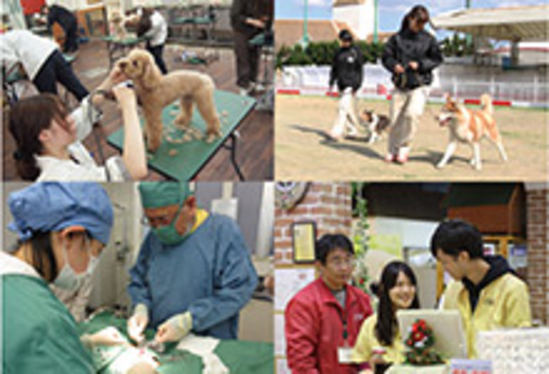 愛知ペット専門学校の風景