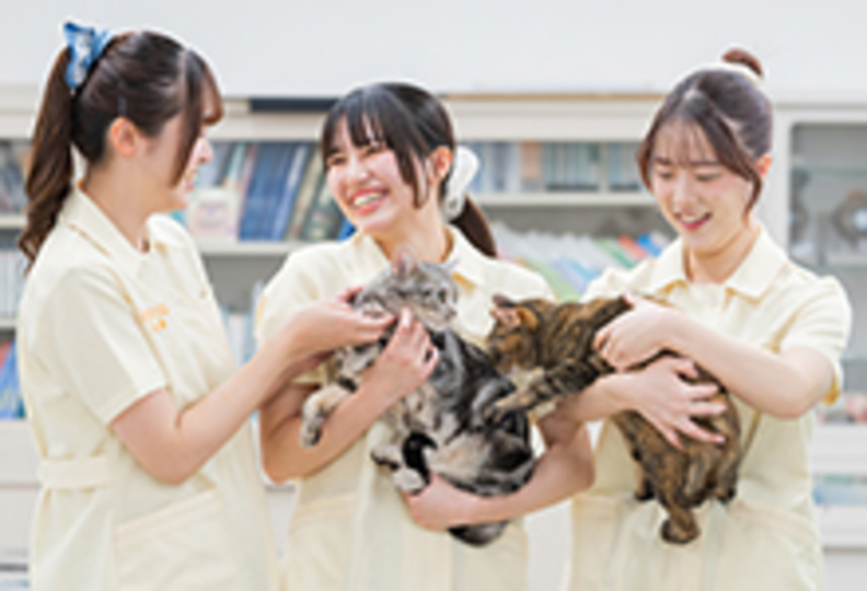 神戸動植物環境専門学校の風景