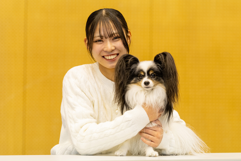 メイン画像