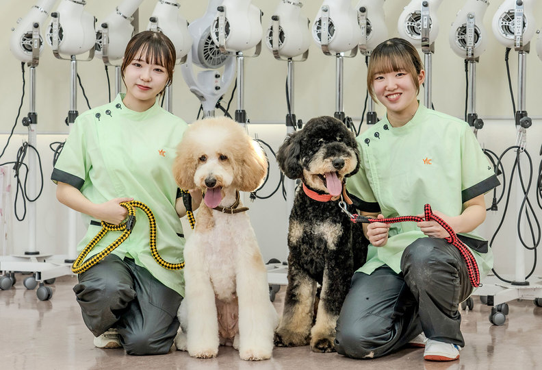 ＹＩＣ京都ペット総合専門学校の風景