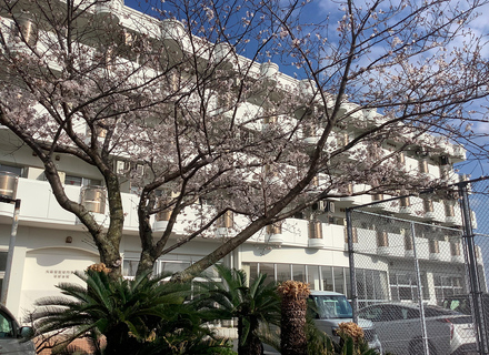学校の特長2