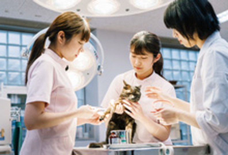 穴吹ビジネス専門学校の風景