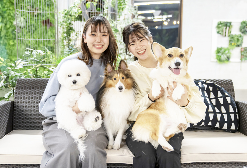 専門学校穴吹動物看護カレッジの風景