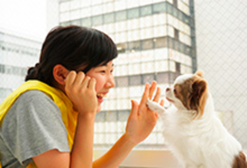 東京ブレーメン動物専門学校の風景