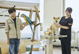 北海道エコ・動物自然専門学校