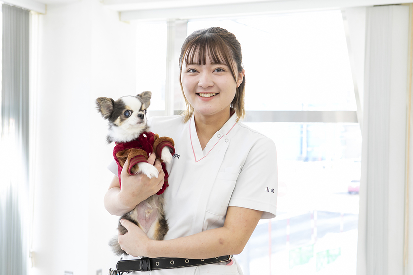 愛犬美容看護専門学校の授業