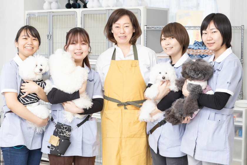 愛犬美容看護専門学校の卒業後