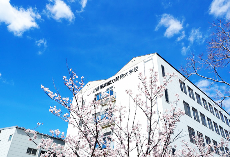 近畿職業能力開発大学校の風景