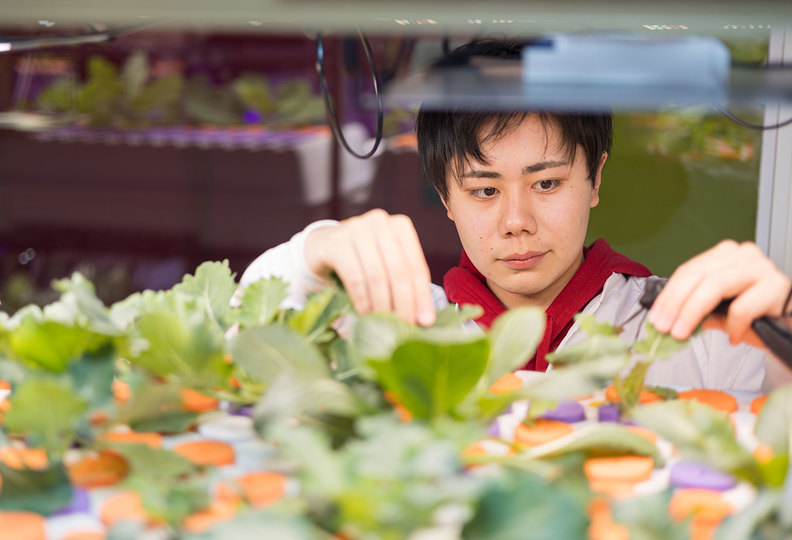 愛甲農業科学専門学校の風景