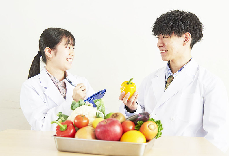 東京聖栄大学の風景