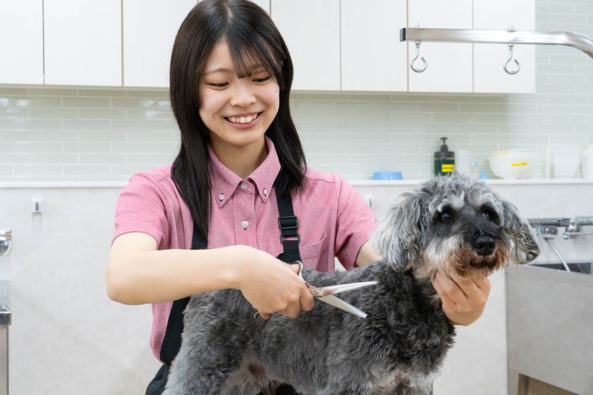 仙台ＥＣＯ動物海洋専門学校の学生
