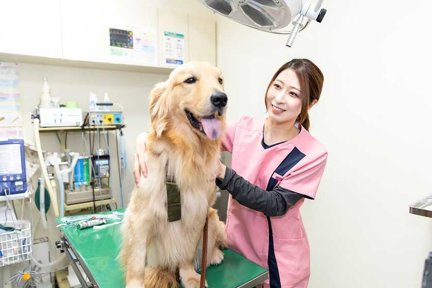 福岡ＥＣＯ動物海洋専門学校の学ぶ内容